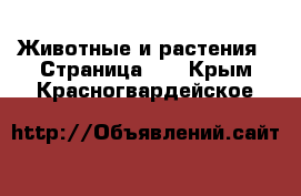  Животные и растения - Страница 28 . Крым,Красногвардейское